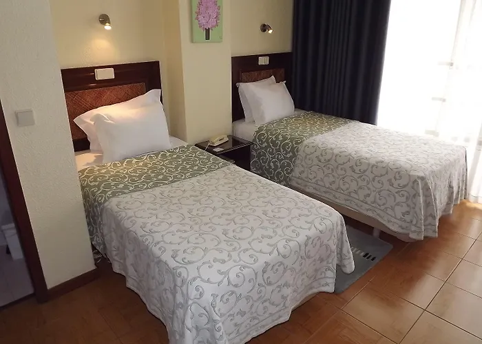 酒店 波尔图马尔酒店 3*